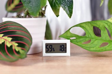 Hygrometer and thermometer device to measure humidity and temperature for houseplants clipart