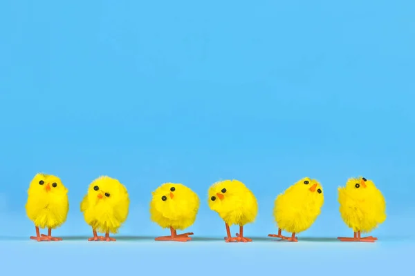 Kleine Dekorative Osterhühner Einer Reihe Auf Blauem Hintergrund — Stockfoto
