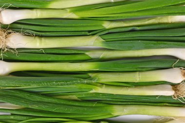 Bir demet taze taze taze taze soğan manzarası 