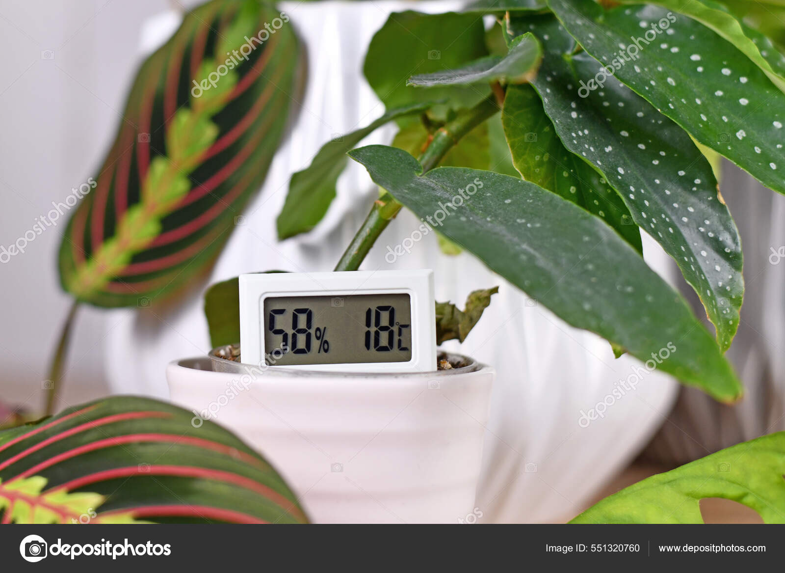 https://st.depositphotos.com/39974074/55132/i/1600/depositphotos_551320760-stock-photo-hygrometer-thermometer-device-measure-humidity.jpg