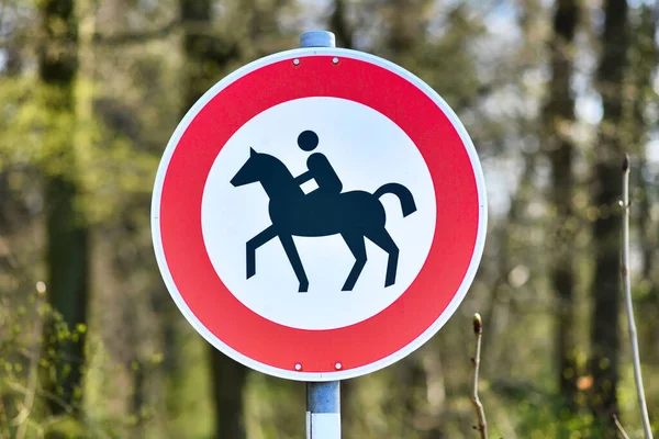 Segnaletica Con Cavallo Cavaliere Sul Percorso Passeggiate Cavallo Nella Foresta — Foto Stock