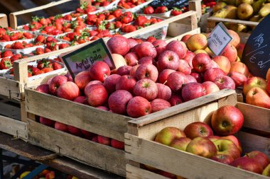 Freiburg, Almanya - Nisan 2022: Pazar satış standında sepetlerde kırmızı Gala elmaları 