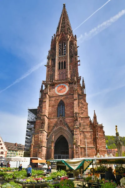 Freiburg Niemcy Kwiecień 2022 Freiburg Minster Codziennym Rynkiem Centrum Miasta — Zdjęcie stockowe