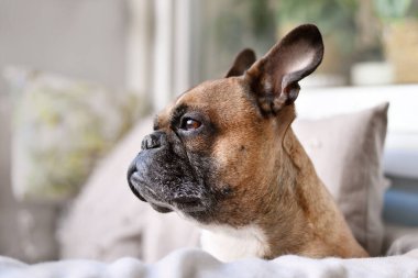 Freiburg, Almanya - Nisan 2022: 'Hotel Baren' adlı tarihi otel binası ile şehir merkezi