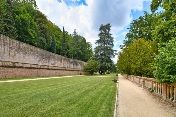 Heidelberg Německo Červen 2022 Trávník Veřejné Palácové Zahradě Zámku Heidelberg — Stock fotografie