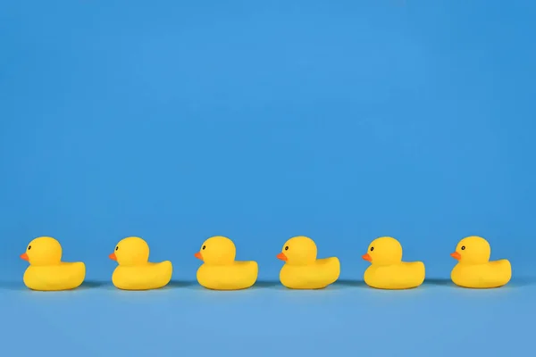 Yellow Rubber Ducks Row Blue Background Copy Space — Stockfoto