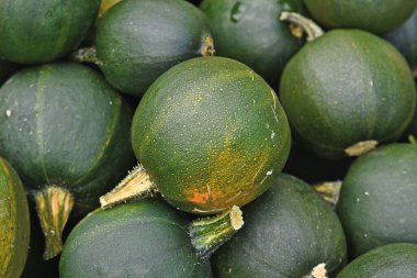 Bir sürü yeşil Rondini Mücevher Kabakları 