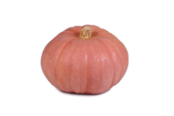 Pastel Rosa Color Miss Sophie Pink Calabaza Halloween Sobre Fondo —  Fotos de Stock