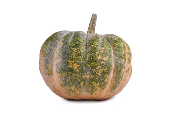 Single Green Orange Musquee Provence Pumpkin White Background — Stock Photo, Image