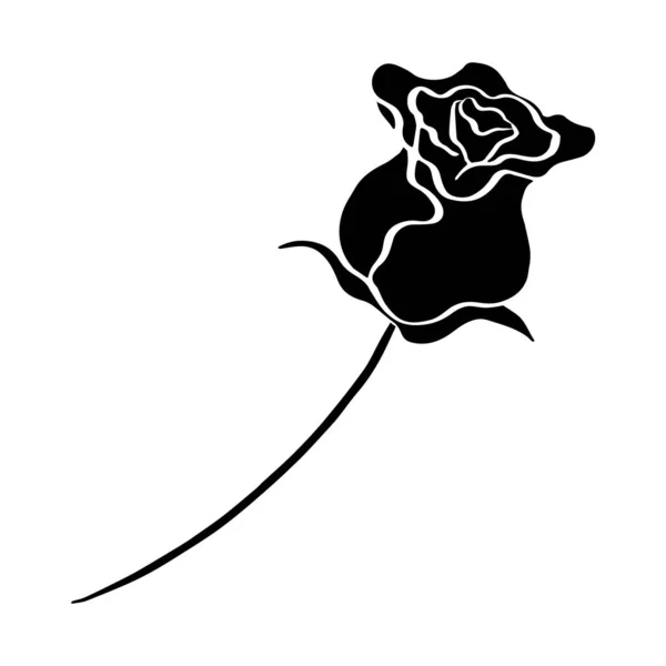 Rózsa Virág Ikon Vektor Kép Elszigetelt Fehér Háttér — Stock Vector