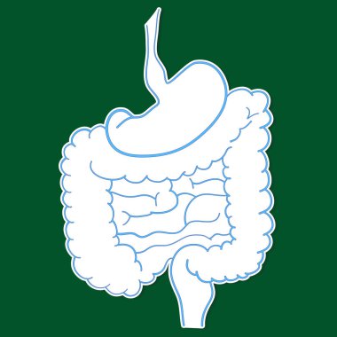 Yeşil arka planda insan bağırsağı etiketi.