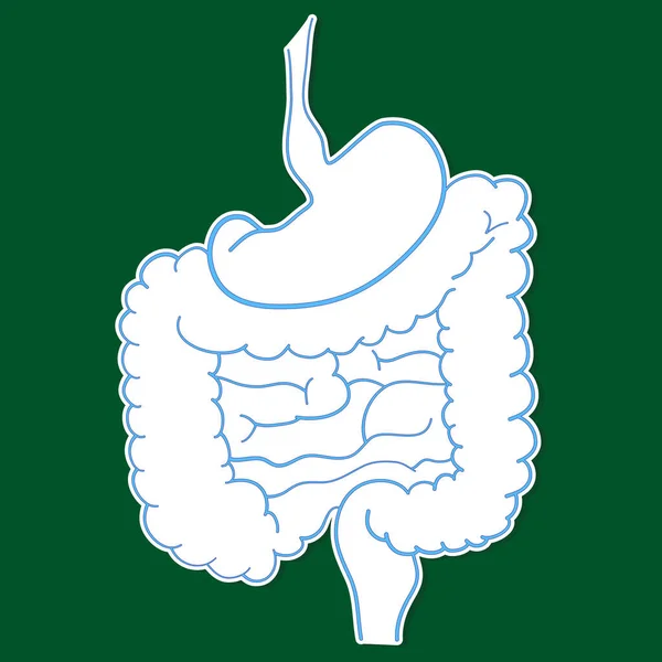Наклейка Кишечника Человека Зеленом Фоне — стоковый вектор