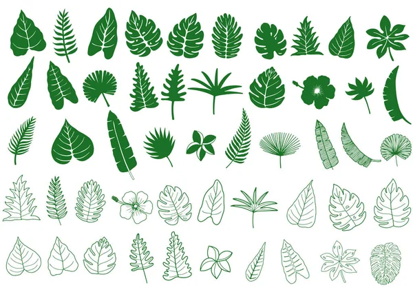 Tropik Yeşil Yaprak Bitkisi Koleksiyonu Siyah Vektör Illüstrasyonunu Bırakır — Stok Vektör