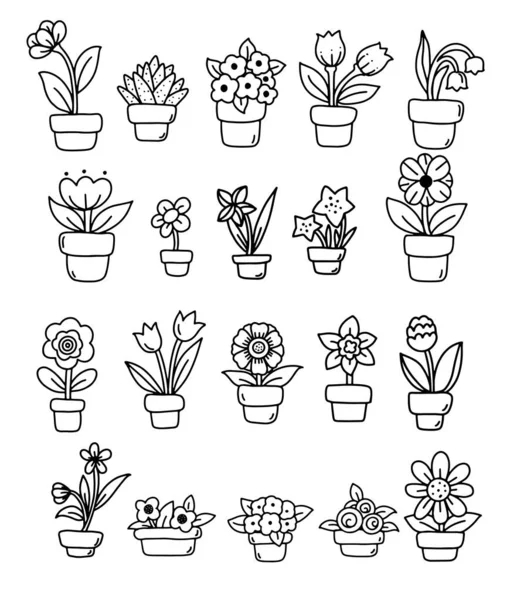 Hand Draw Floral Pot Botanical Icon Elements Hand Drawn Doodle — Stock Vector