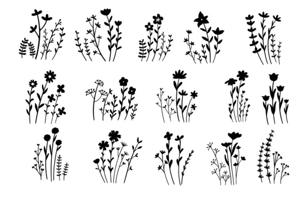 Handritning Blommiga Och Botaniska Element Vektor Illustration — Stock vektor