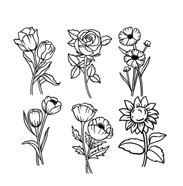 Mano Disegnare Elementi Floreali Botanici Illustrazione Vettoriale — Vettoriale Stock