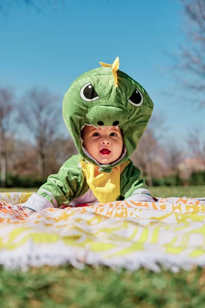 Dinozor kostümü giymiş bir bebek.