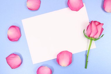 Mavi arka plandaki yazı için beyaz kağıt yapraklı gül ve yapraklar. Tatil, 8 Mart, Uluslararası Kadınlar ve Anneler Günü, Sevgililer Günü. Boşluğu kopyala