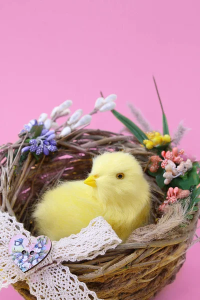 Žlutá Kočka Hnízdě Růžovém Pozadí Velikonoce Narozeniny Den Matek Kopírovat — Stock fotografie