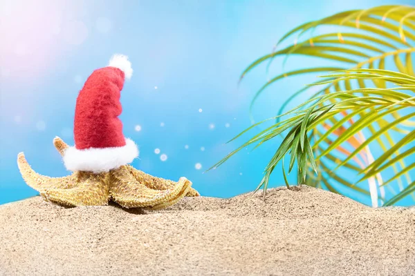 Orange Starfish Santa Claus Hat Beach Palm Tree Concept Christmas — Stock Fotó