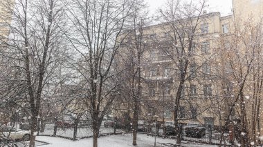 Snowstorm and snowfall in a small city park.