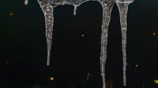 Lots of icicles on a black background close-up — Stock Photo, Image