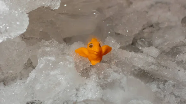 The toy dragon lives in the ice rocks. — Stock Photo, Image