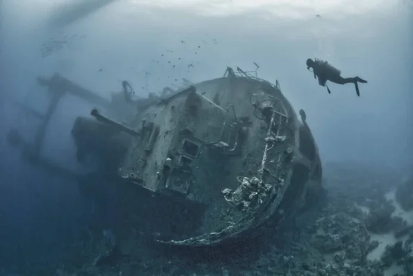 Diver Exploring Shipwreck Cedar Pride Aqaba — Stockfoto