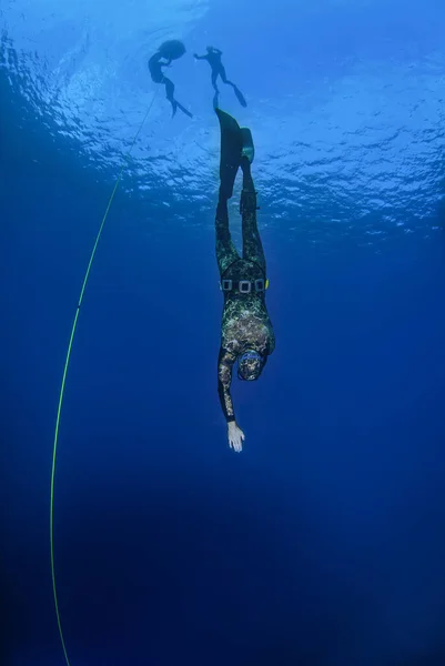 Entrenamiento Freediver Con Una Línea Mar Abierto Fotos de stock libres de derechos