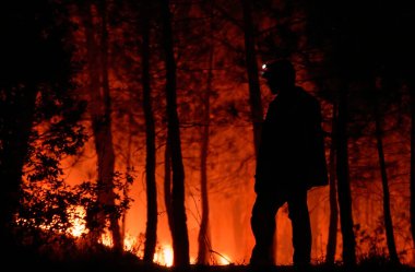 Man silhouette beholding helplessly a forest burning