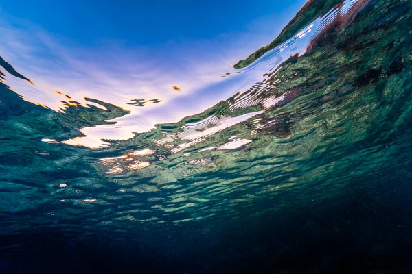 Colorful underwater background ideal to use as background for presentations or desings