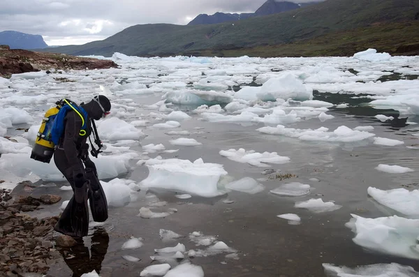 Mergulhador Entrando Lago Montanha Coberto Com Pequenos Icebergs Fotografia De Stock