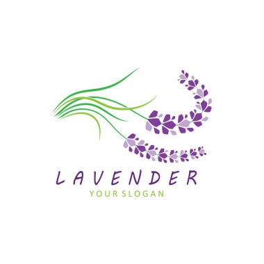 Taze lavanta çiçeği logo vektörü düz tasarım