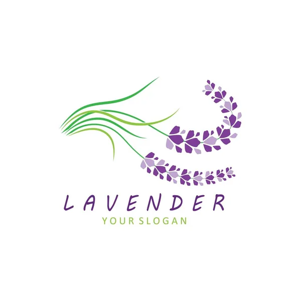 Fresco Flor Lavanda Logo Vector Diseño Plano — Vector de stock