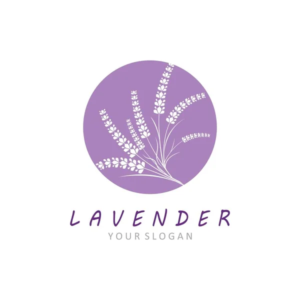 Fresco Flor Lavanda Logo Vector Diseño Plano — Vector de stock