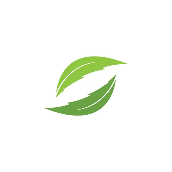 Eco Icono Verde Hoja Vector Ilustración Aislado — Vector de stock