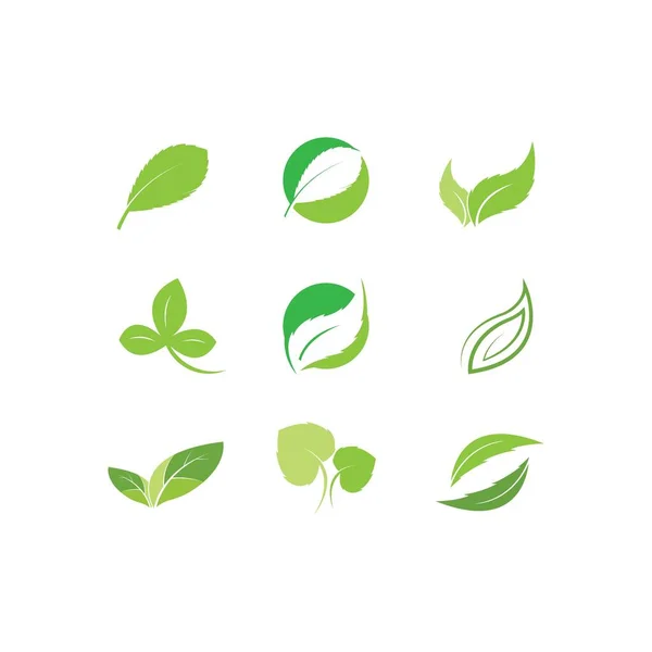 Eco Icon Green Leaf Vector Illustration Isolated — Stock Vector