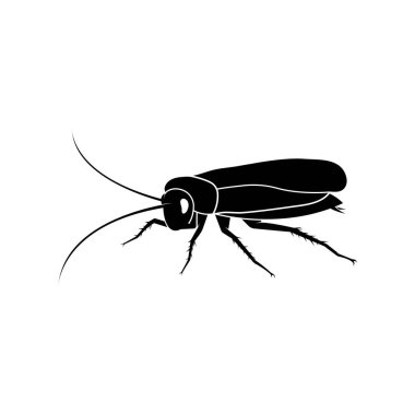 Hamamböceği logosu. Beyaz arka planda izole hamamböceği