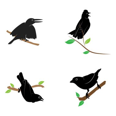 Kuş Logosu Şablonu vektör çizimi