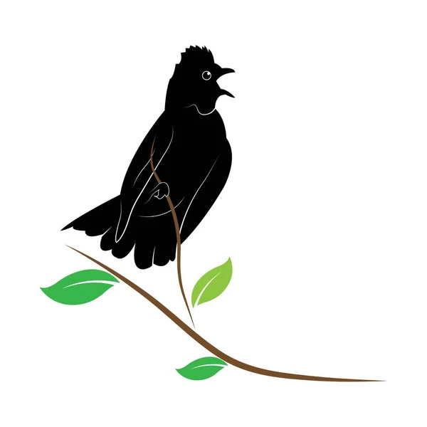 Pájaro Logo Plantilla Vector Ilustración — Vector de stock