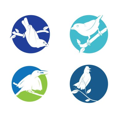 Kuş Logosu Şablonu vektör çizimi