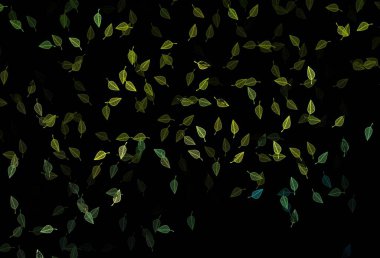 Koyu mavi, sarı vektör karalama deseni. Yaprakları karalama tarzında parlak renkli bir illüstrasyon. Paketleme için el boyası tasarımı, duvar kağıdı.