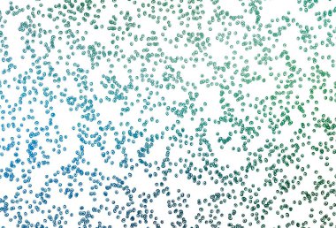 Açık mavi, baloncuklu yeşil vektör arka planı. Parlak renkli soyut çemberlerin olduğu bir resim. Güzel web siteleri için desen.