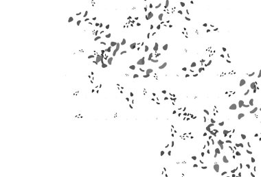 Açık gümüş, kaotik şekilli gri vektör deseni. Soyut tarzda rengarenk gradyan şekilleri olan bir resim. İşiniz için en iyi akıllı tasarım.