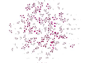 Soyut şekilli açık pembe vektör arkaplanı. Modern tarzda değişen renkli kaotik formlar. Kartvizitiniz için modern tasarım.