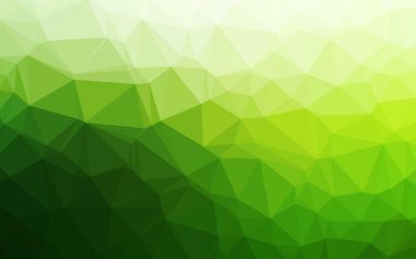 Açık yeşil vektör düşük poli dokusu.