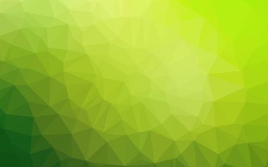 Açık yeşil vektör düşük poli dokusu.