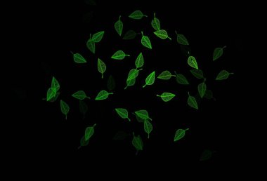 Koyu yeşil vektör karalama düzeni. Yapraklı karalama tarzında yeni renkli çizimler. Tasarımınız için yeni bir doku.