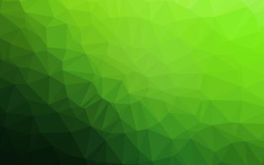 Açık yeşil vektör düşük poli kapağı.