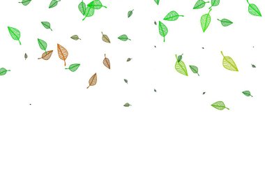 Açık yeşil, kırmızı vektör karalama deseni. Renkli yapraklı eskiz karalamalar. İşiniz için yepyeni bir tasarım..